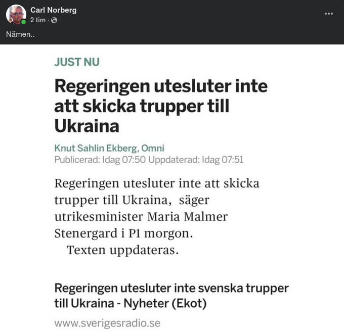Svensk Trupp Till Ukraina Inte Uteslutet