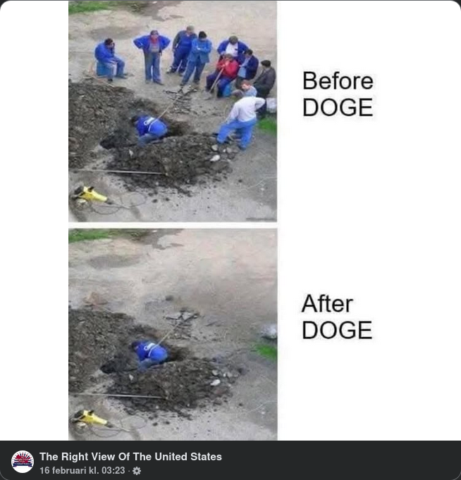 DOGE-Stöd
