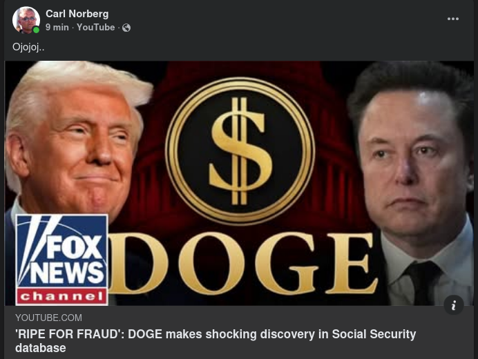 DOGE & Dataidentiteter