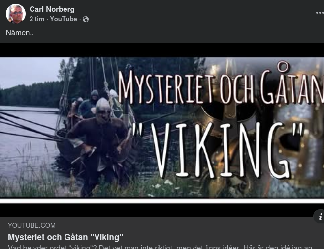 Viking Med Format Historia