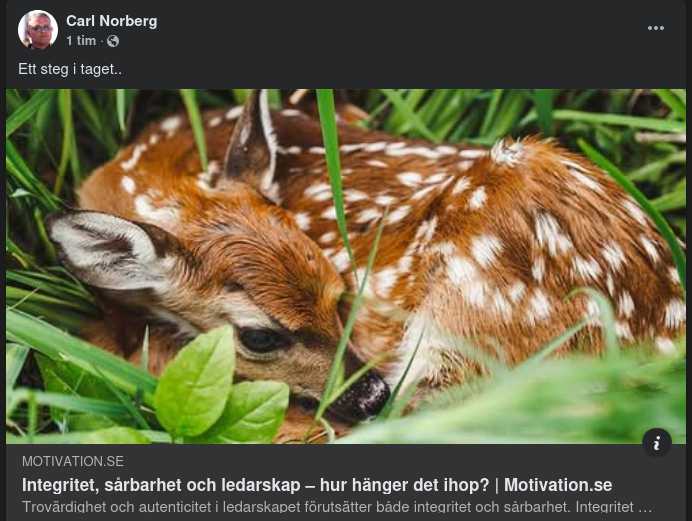 Stegvis Ledarskapsutveckling