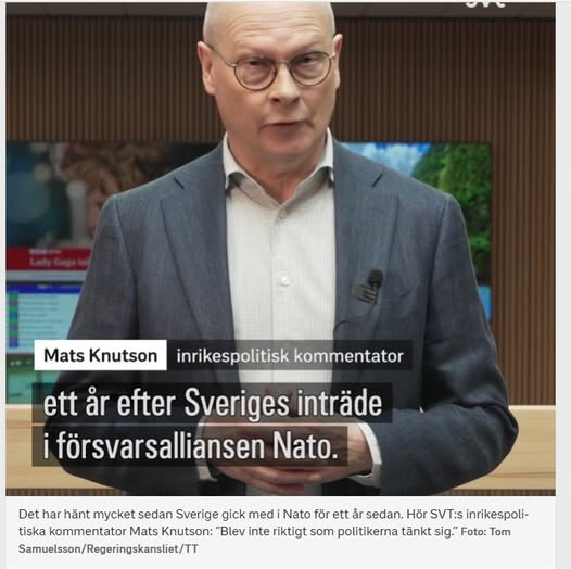 Summerat Svenskt Natoår