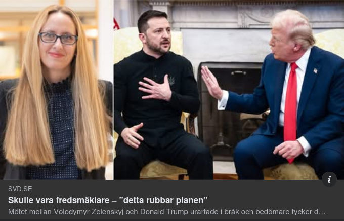Rubbad Fredsmäklarplan I SvD