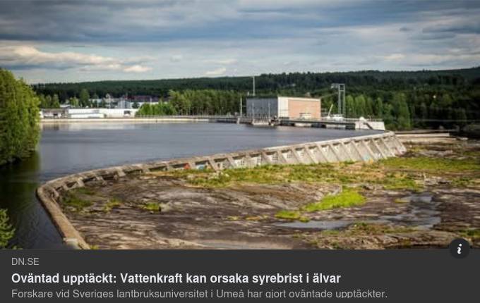 Fortsatt Syrebrist & Förvånade Forskare