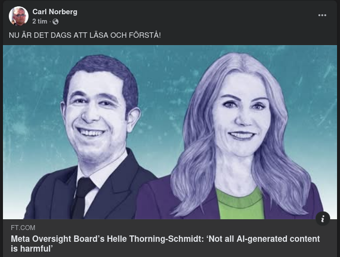 Helle & Metas Översynsråd