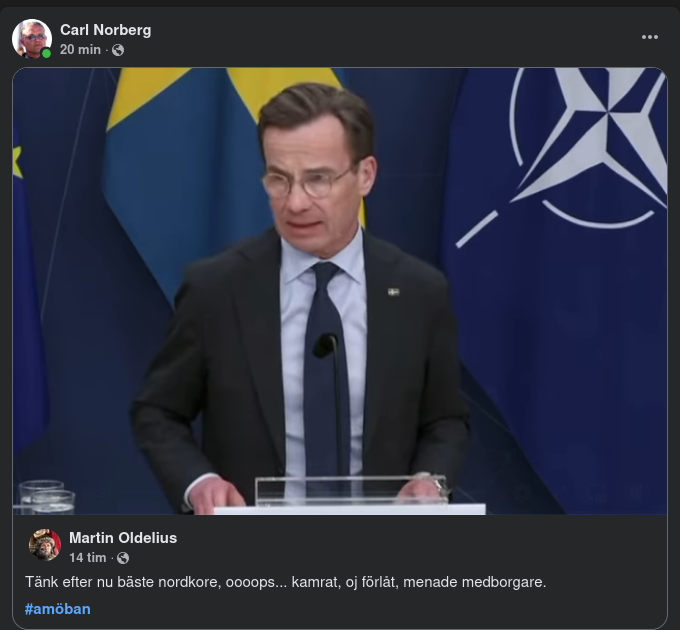 Svensk Enighet Rätt Unik I Världen..