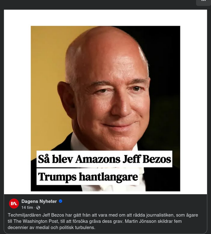 Bezos Skildrad I DN