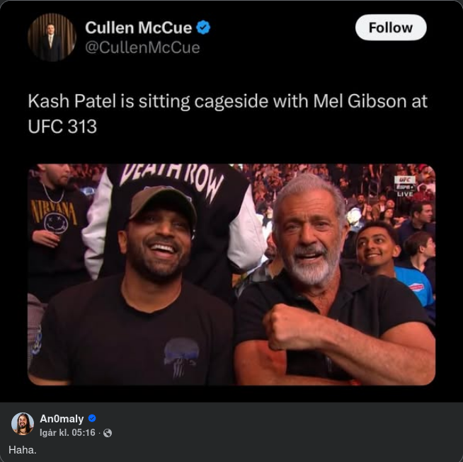 Patel & Gibson Cageside