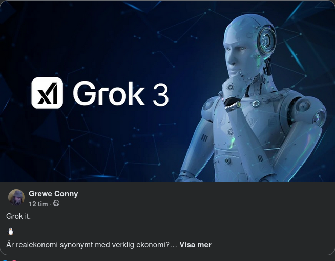 Verklig & Overklig Ekonomi Med Grok