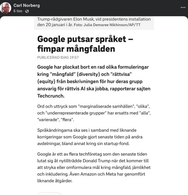 Språkputsande Google Skippar Mångfalden