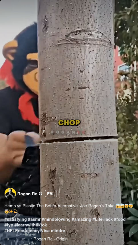 Hampa & Papperspåsar