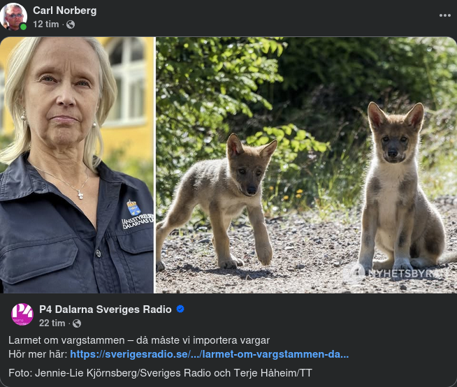 Vargstamslarmrapport