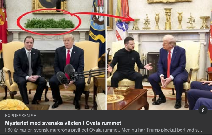 Ingen Svensk Murgröna I Ovala Rummet