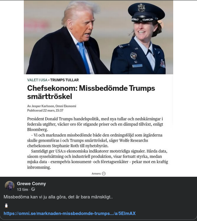 Missbedömande Chefsekonom