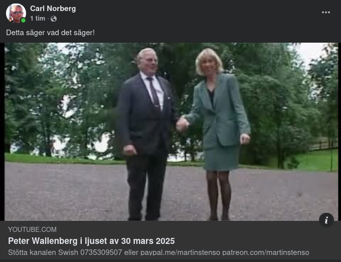 Stensö Belyser Peter Wallenberg