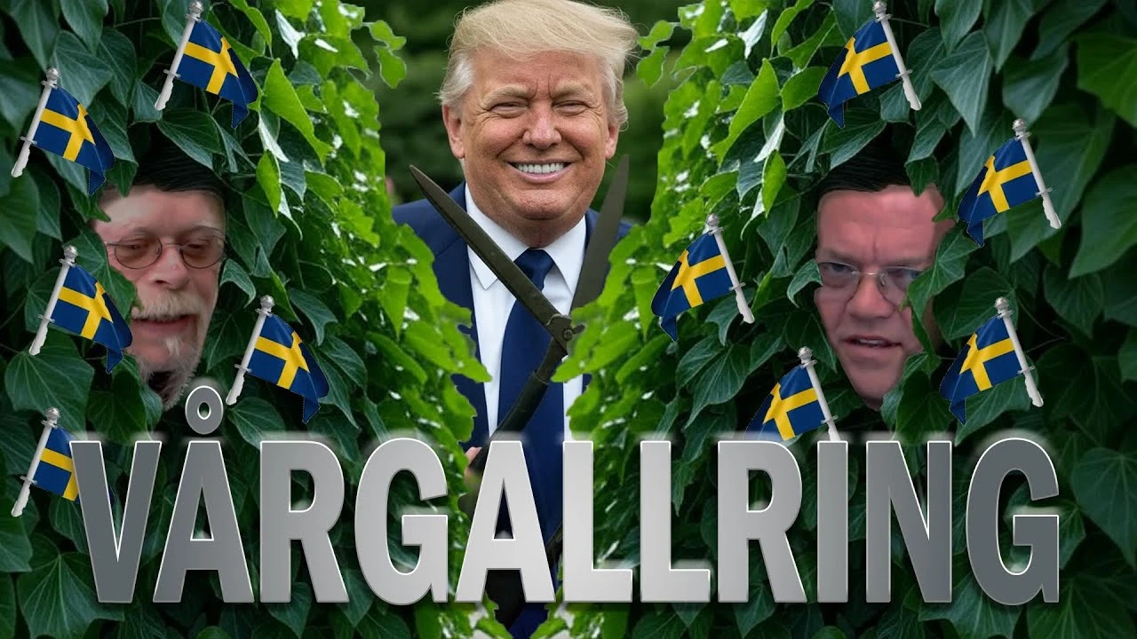 Swedish Ivy