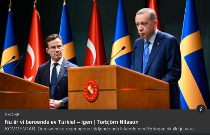 Svenskt Erdoğan-Beroende I SvD