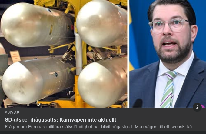 Svenskt Kärnvapenprogramsfråga
