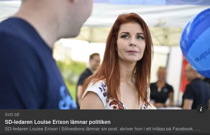 Louise Erixon Lämnar Politiken