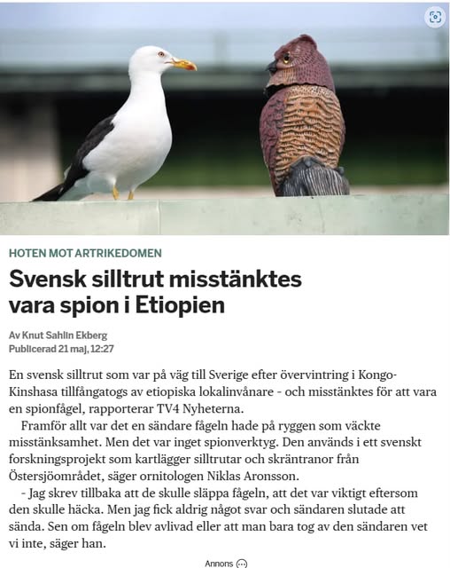 Svensk Silltrut Spionmisstänkt I Etiopien