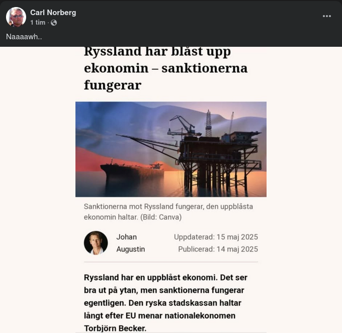 Nationalekonom Torbjörn Becker: Sanktionerna Fungerar