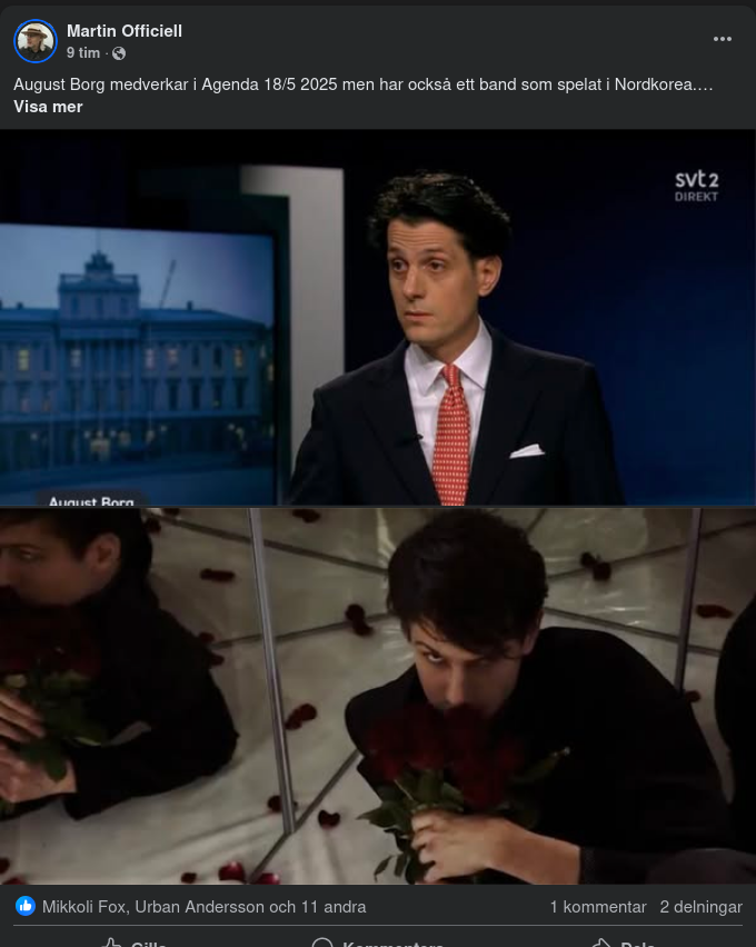 Stensö Med Grok Om Borg I Nordkorea