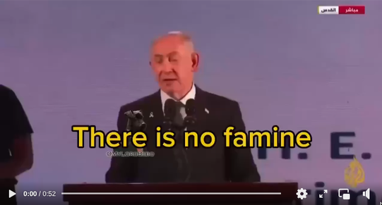 Netanyahu: "Ingen svält i Gaza"