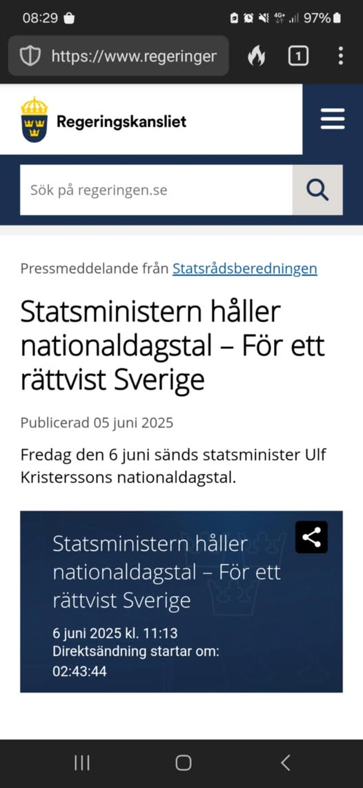 Nationaldagstal För Ett Rättvist Sverige Från Barnhandlaren