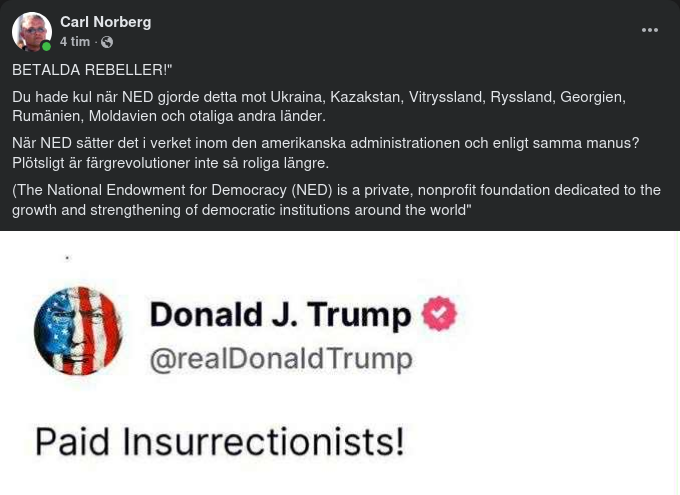 Betalda Upprorsmakare