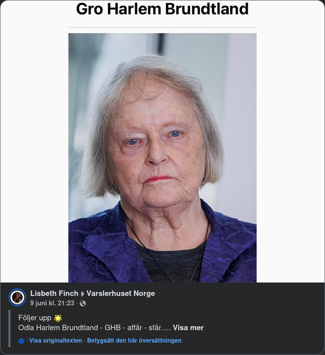Läsning Om GH Brundtland