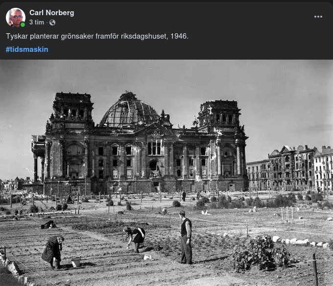 Tyskt Grönsaksplanterande 1946