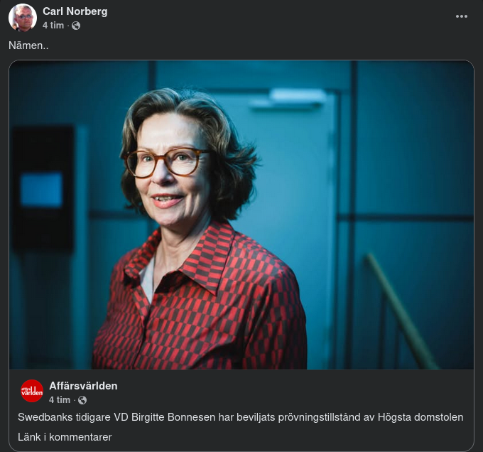 Bonnesen Beviljad Prövningstillstånd Av HD