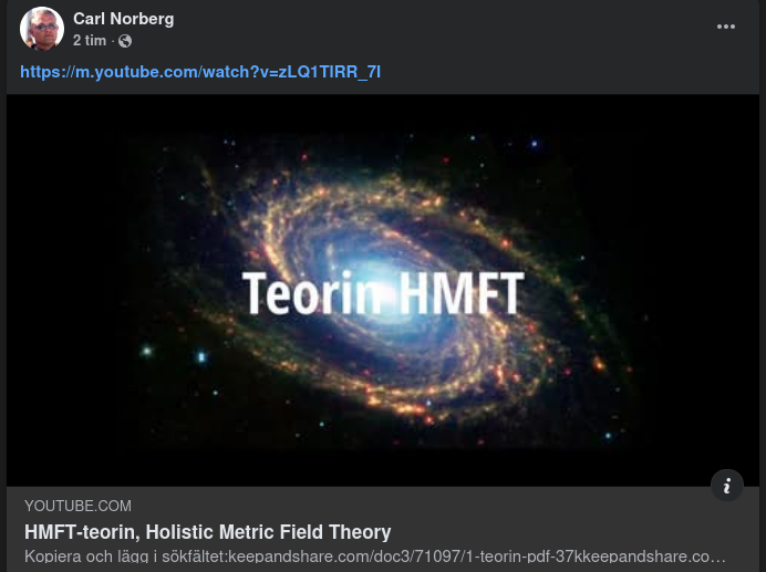 Holistic Metric Field Theory - HMFT
