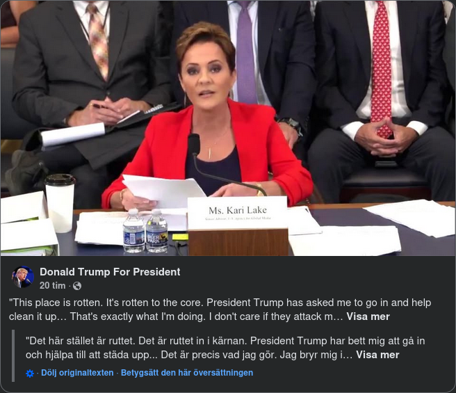 Kari Lake Städar Upp
