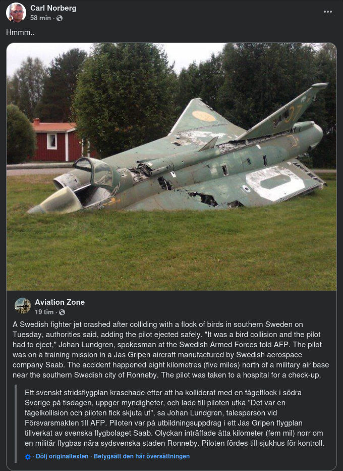 Fågelkrock Kraschar Svenskt Stridsflygplan