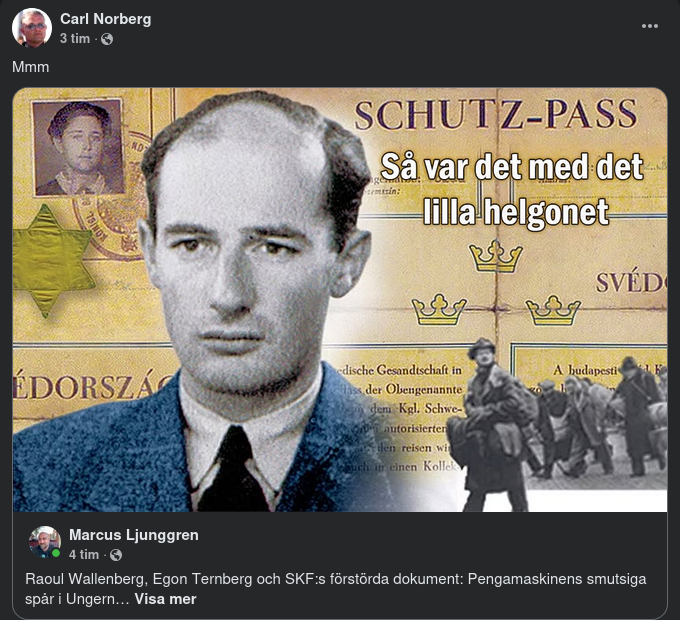 Marcus Med AI & Raoul I Ungern