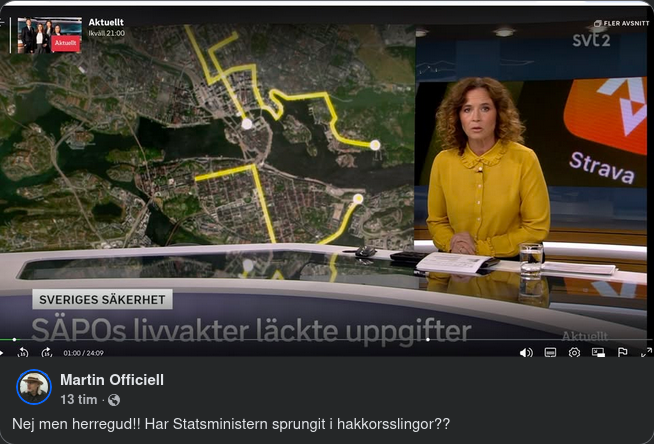 Hakkorsspringande Barnhandlare..