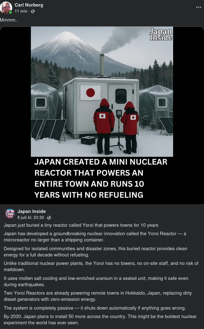 Liten Nergrävd Reaktor I Japan