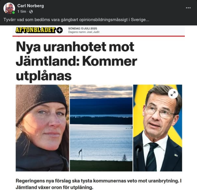 Utplåning Gångbart Som Svensk Opinionsbildning