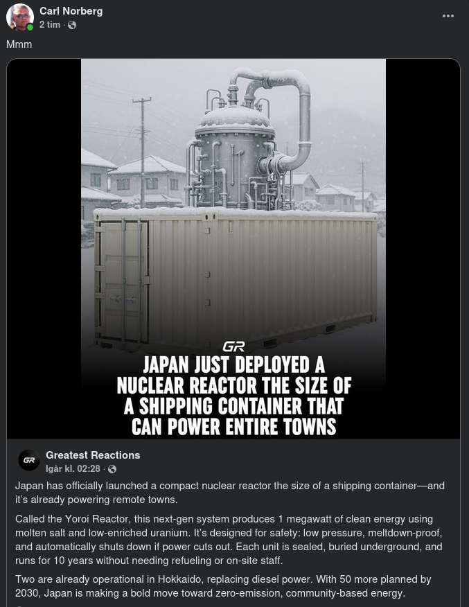 Japansk Containerstorlekskärnreaktor