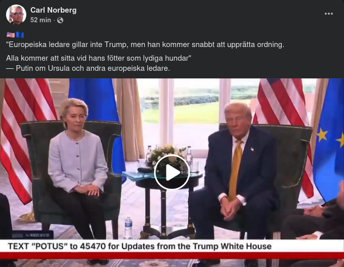 Lydiga Europeiska Hundar