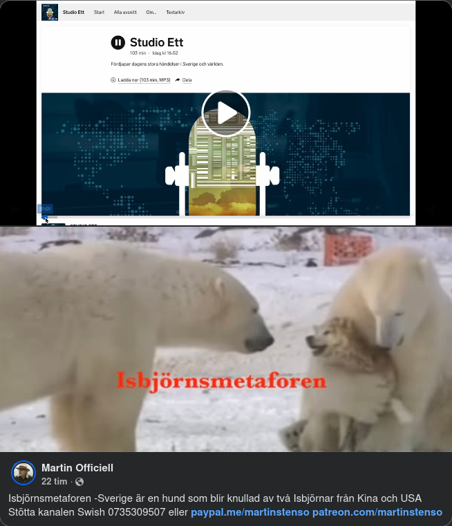 Stensö Med Isbjörnsmetafor, AI & Tankar På Havet