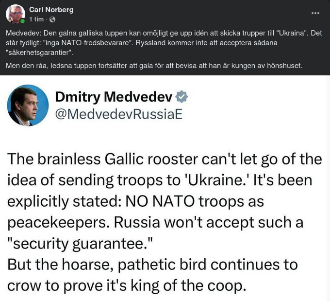 Medvedev Om Truppgalande Tuppmakaron