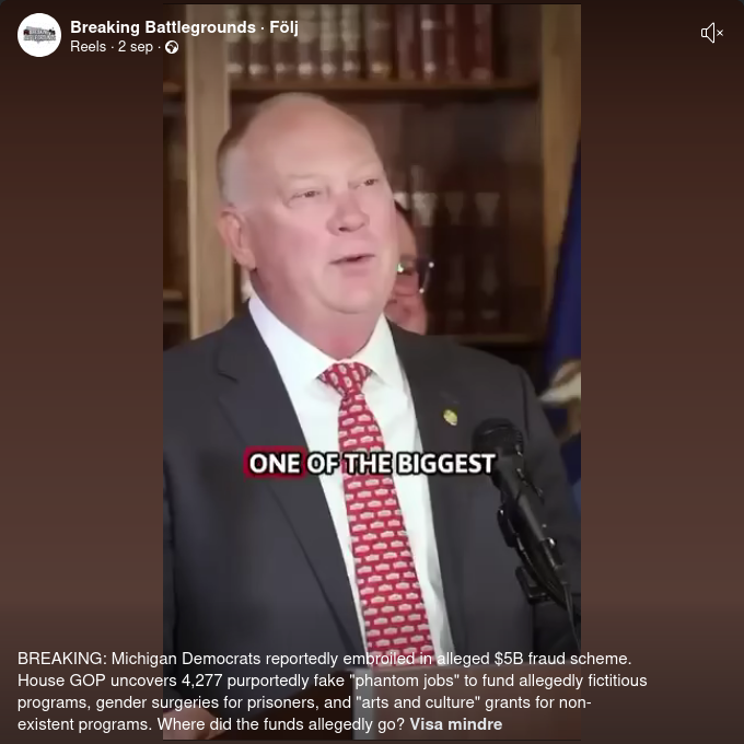 Michigan-Demokrater I Miljardbedrägeri