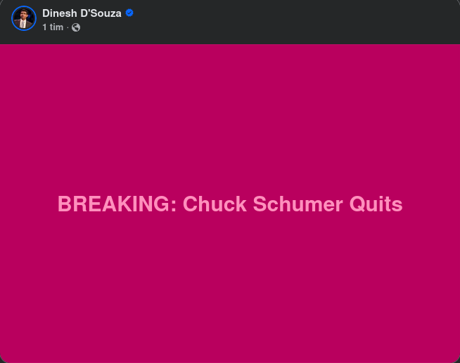 Schumer Lägger Av