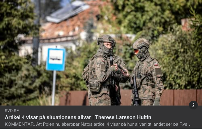 Artikel 4 Allvar I SvD