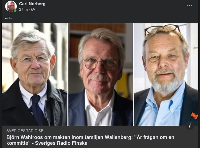 Wahlroos Om Wallenberg Interna Kommitté