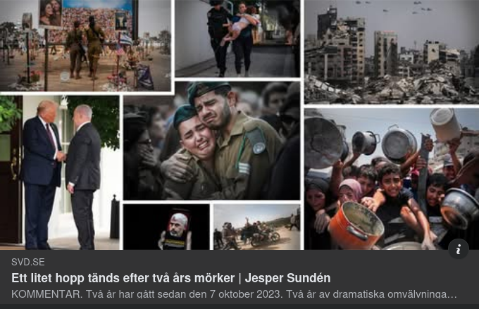 Litet Tänt Hopp I SvD I Ljuset Från Dissekerande AI