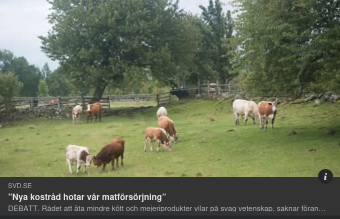 AI Med Matförsörjningshotande Kostråd I SvD
