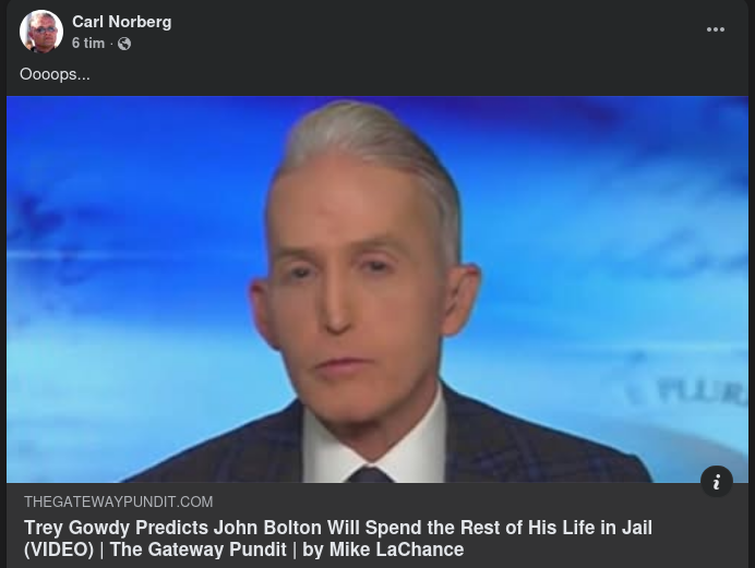 Gowdy Om Boltons Framtidsutsikter